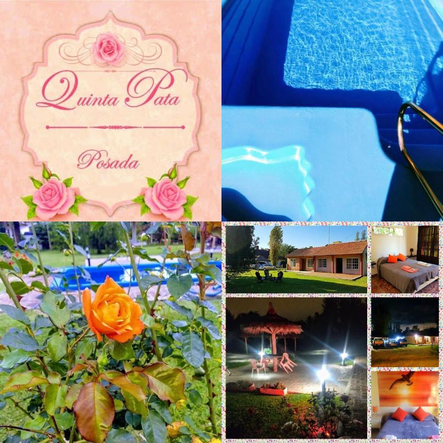 Posada Quinta Pata Езейза Екстериор снимка